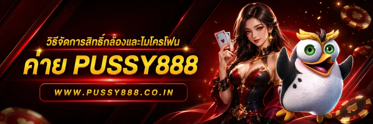 สล็อตออนไลน์pussy888 วิธีจัดการสิทธิ์กล้องและไมโครโฟน