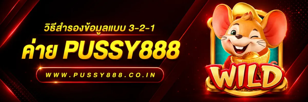 สล็อตเกม pussy888 วิธีสำรองข้อมูลแบบ 3-2-1
