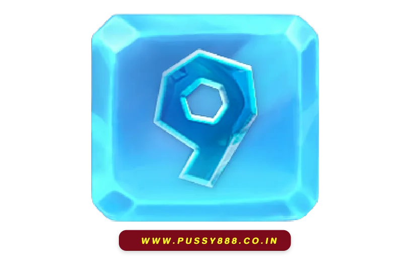 Pussypro