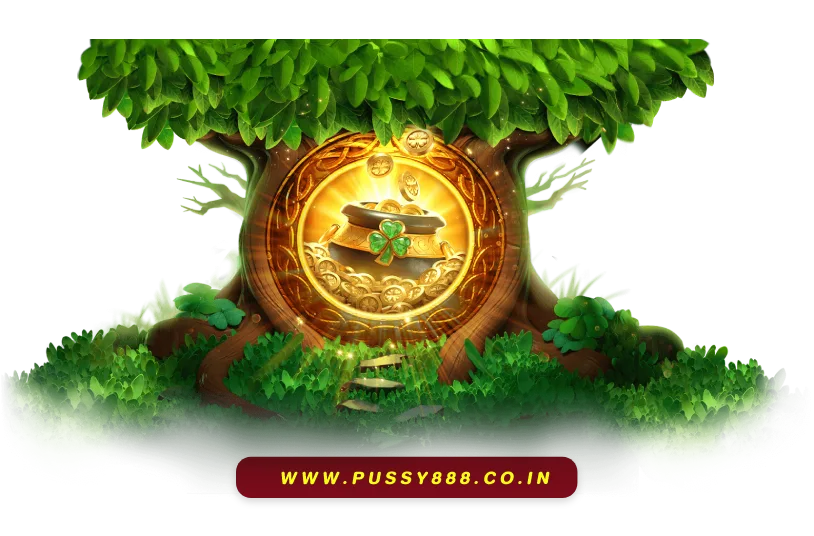 PUSSY247