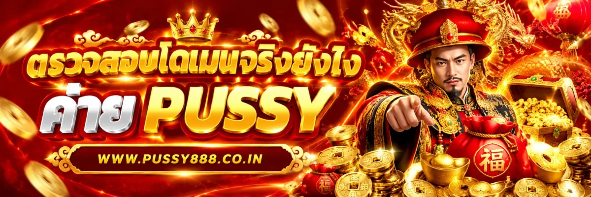 PUSSY79  ตรวจสอบโดเมนจริงได้อย่างไร