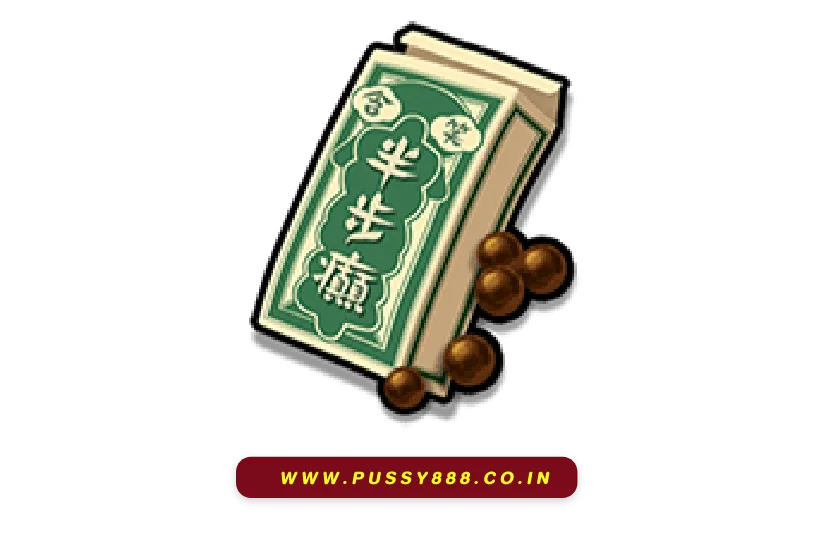 PUSSYGAME