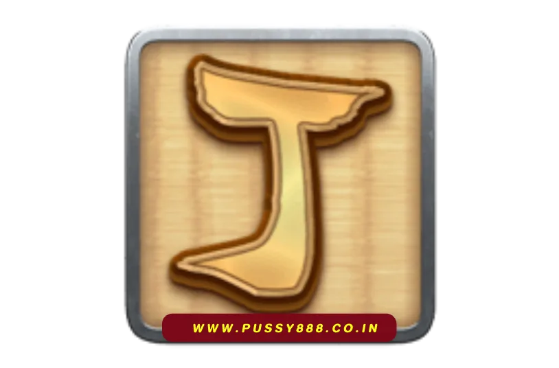 PUSSYCOM
