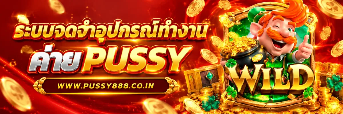 PUSSYOLD ระบบจดจำอุปกรณ์ทำงานอย่างไร